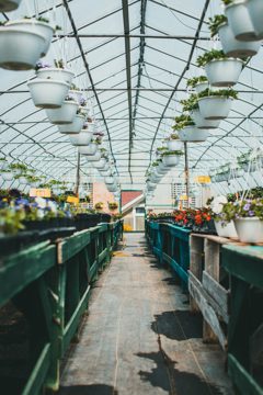 Illustrative garden photograph from this direction’s retained stock